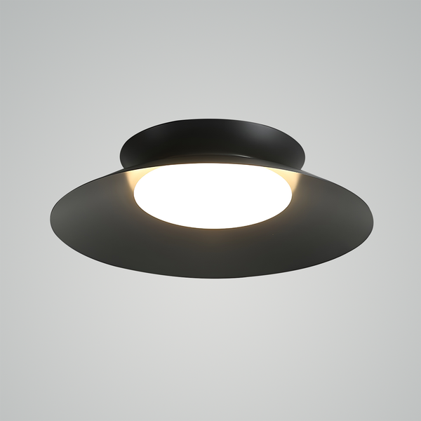Cetra Ceiling Light